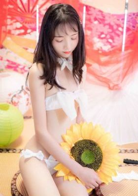 日韩贸易有限公司_视频大全成人直接看
